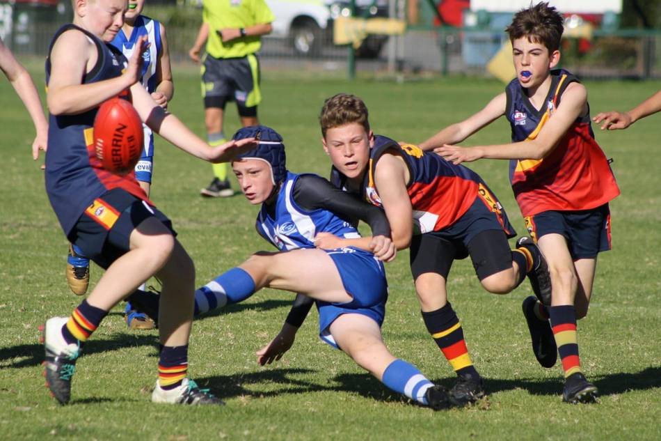 Albion Park Crows Junior Team Information